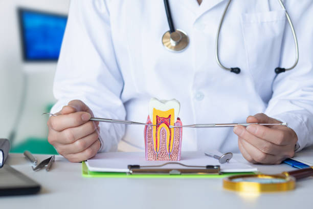 Best Cosmetic Emergency Dentistry in Coulee Dam, WA
